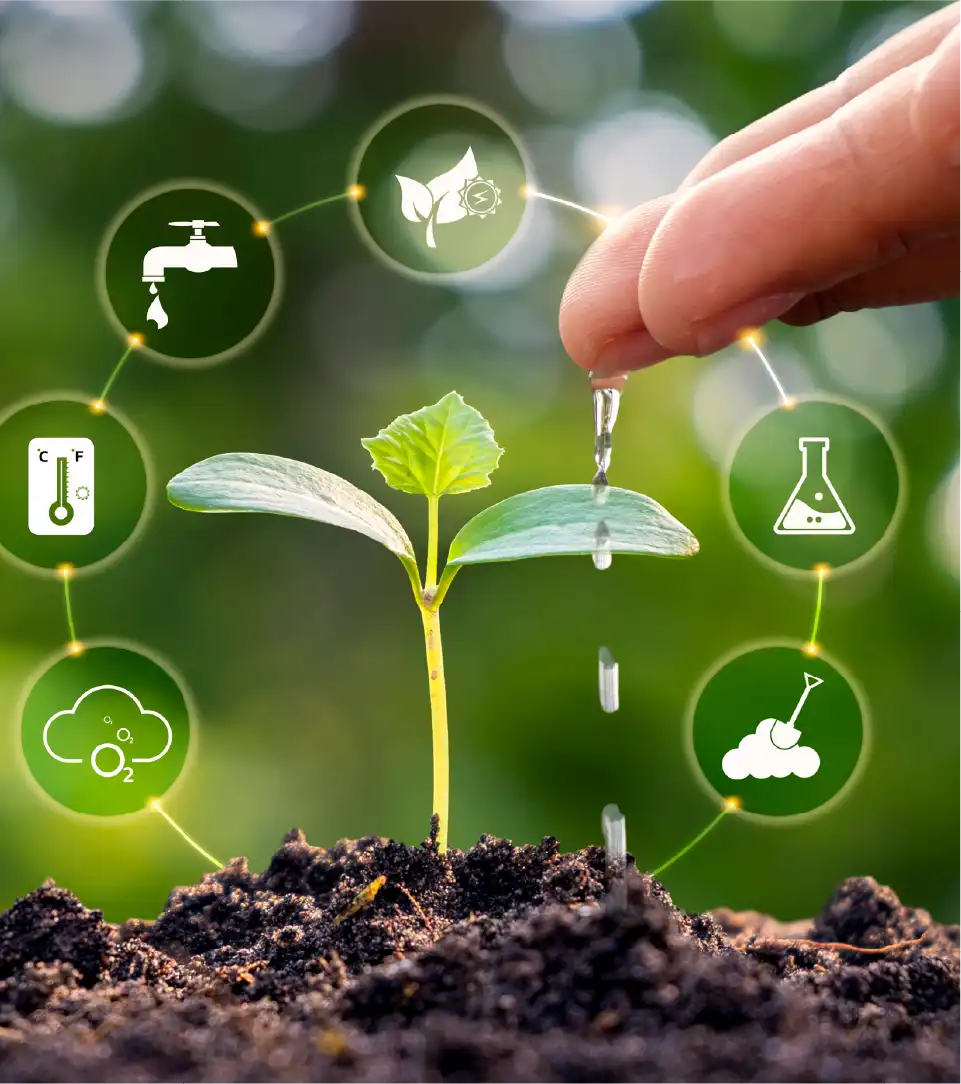 regenerative farming